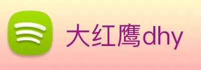 大红鹰dhy Logo